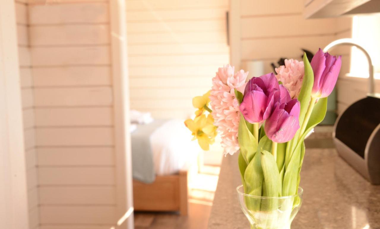 Toradh Cabin สปีนบริดจ์ ภายนอก รูปภาพ